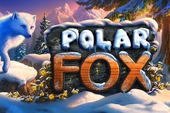polar fox za darmo